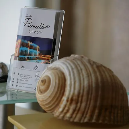 Cunda Paradise Butik Ayvalı